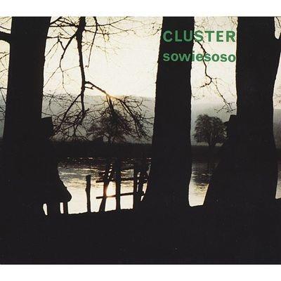 Sowiesoso (50th Anniversary) - Vinile LP di Cluster