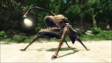 Risen 2: Dark Waters - 8