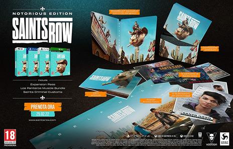 Saints Row Notorious Edition - PS4 - 2
