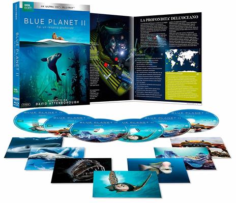 Blue Planet II (Blu-ray + Blu-ray Ultra HD 4K) di David Attenborough,Peter Drost,Roger Munns,François Morel - Blu-ray + Blu-ray Ultra HD 4K - 2