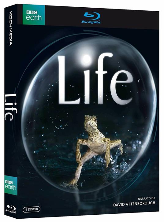 Life. BBC (4 Blu-ray) di Simon Blakeney,Stephen Lyle - Blu-ray