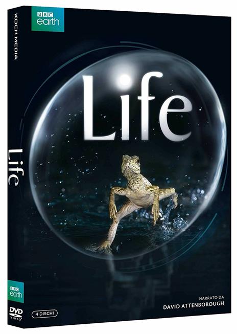 Life. BBC (4 DVD) di Simon Blakeney,Stephen Lyle - DVD