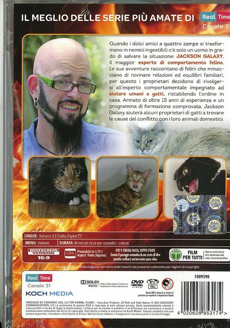 Il mio gatto è indemoniato (6 DVD) - DVD - 2