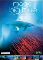 Magic of Big Blue (3 DVD)