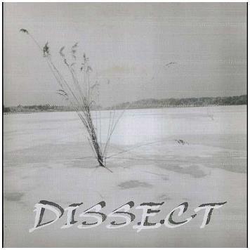 Split - Vinile 7'' di Dissect,Rezios