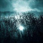 Hypnos - Vinile LP di Oneirogen
