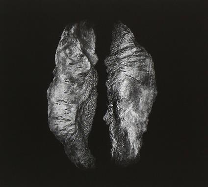 Cause and Effect - CD Audio di Saffronkeira,Mario Massa