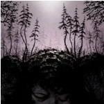 This Kindly Slumber - Vinile LP di Birds of Passage