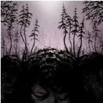 This Kindly Slumber - CD Audio di Birds of Passage