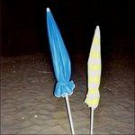 Live from Queimada Grande (Digipack) - CD Audio di Night Shirts