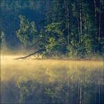 Plenitube - CD Audio di Oneirogen