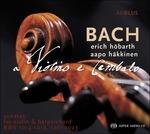 Sonate for Violin & Harp