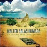 Explodes and Disappears - CD Audio di Walter Salas-Humara