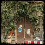 Ivy - CD Audio di US Rails