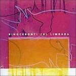 Rinoceronti sul Limbara - CD Audio di Antonello Salis,Gianluca Petrella