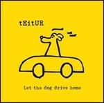 Let the Dog Drive Home - CD Audio di Teitur