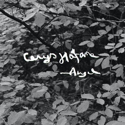 Angel - CD Audio di Cerys Hafana