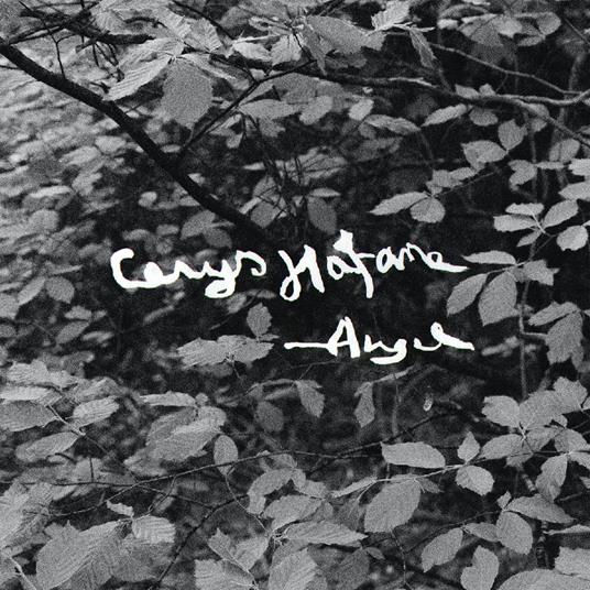 Angel - CD Audio di Cerys Hafana