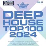 Deephouse Top 100 2024 Vol.14