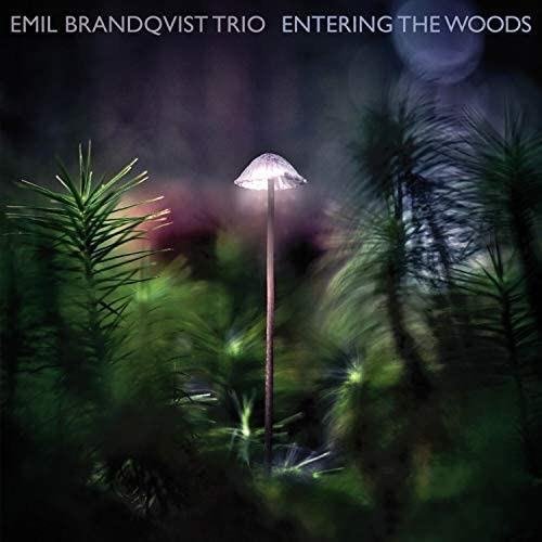 Entering the Woods - CD Audio di Emil Brandqvist