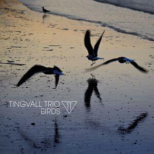 Birds - CD Audio di Tingvall Trio