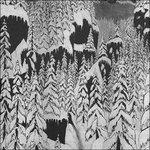 Schattengang (Digipack) - CD Audio di Paysage d'Hiver