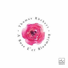 A Rose E' Er Blooming - CD Audio di Thomas Ruckert
