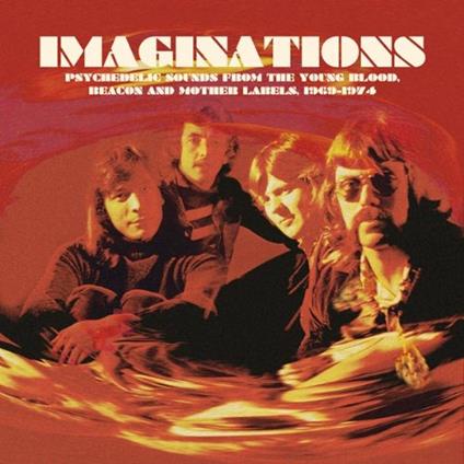 Imaginations - Vinile LP