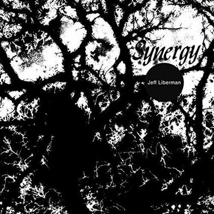 Synergy - Vinile LP di Jeff Liberman