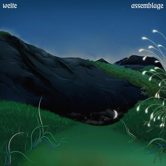 Assemblage - Vinile LP di Weite