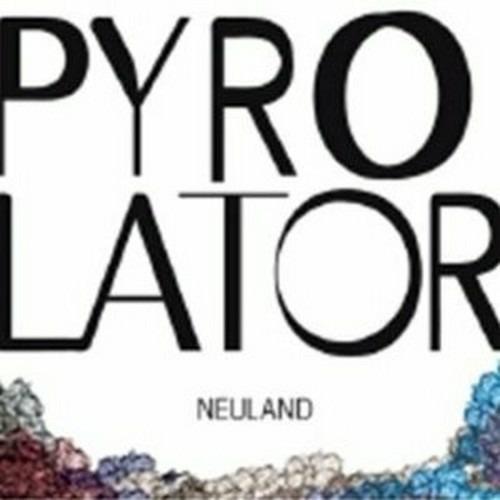 Neuland - Vinile LP di Pyrolator