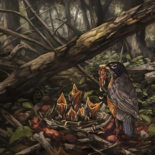 Step Into the Light - CD Audio di Acacia Strain