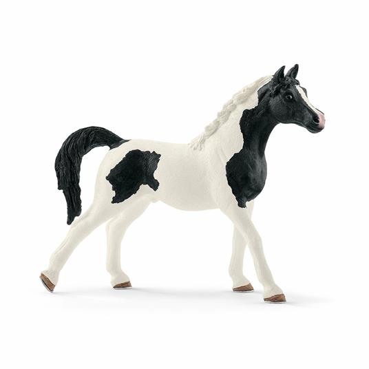 Stallone Arabo Pinto. Schleich (2513840)