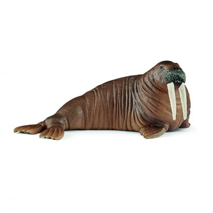 Tricheco. Schleich (2514803)