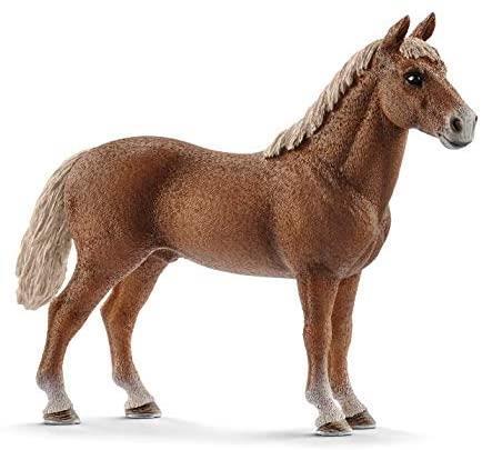 Stallone Morgan Horse. Schleich (2513869)