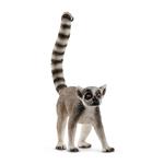 Wild Life. Lemure Catta