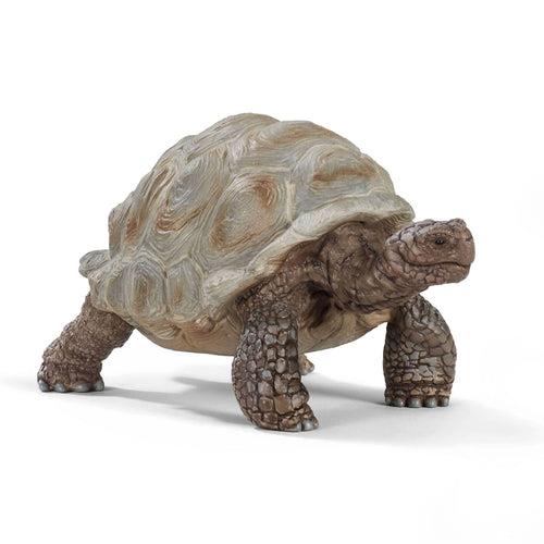 Tartaruga Gigante Schleich (14824) - 3