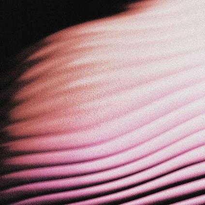 Everything Everywhere - CD Audio di Polar