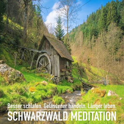 DIE SCHWARZWALD MEDITATION: Spüre dich wieder und erlebe einzigartige Momente der Ruhe