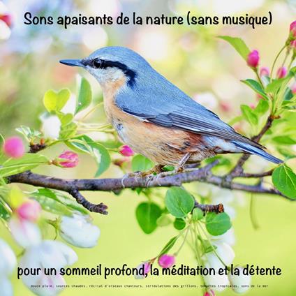 Sons apaisants de la nature (sans musique) pour un sommeil profond, la méditation et la détente