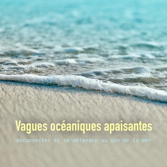 Vagues océaniques apaisantes: déconnecter et se détendre au son de la mer