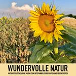 Wundervolle Natur: Naturgeräusche (ohne Musik) zum Entspannen, Regenerieren und Einschlafen