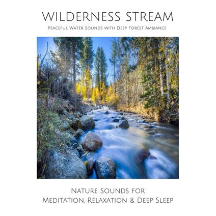 Wilderness Stream (without music) - Peaceful Water Sounds with Deep Forest Ambience