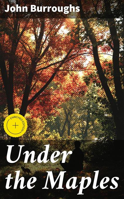 Under the Maples
