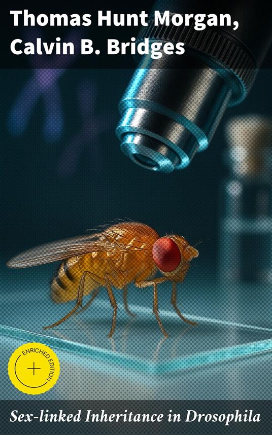 Sex-linked Inheritance in Drosophila