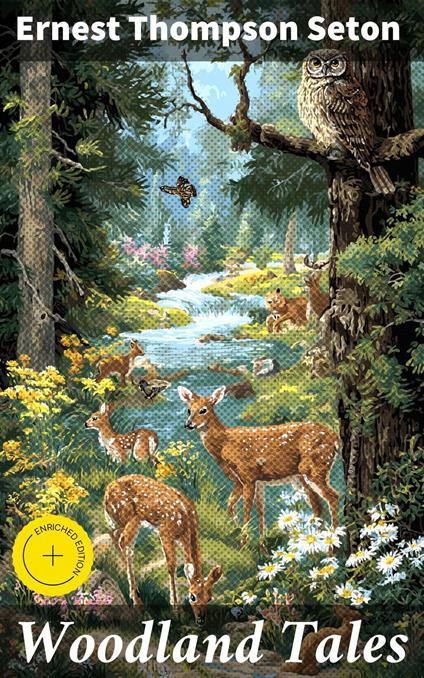 Woodland Tales