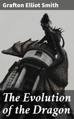 The Evolution of the Dragon