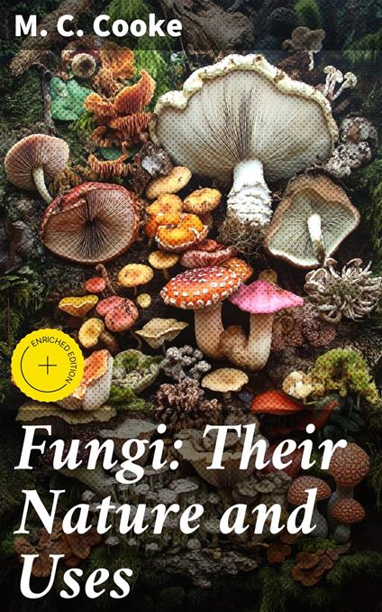 Fungi: Their Nature and Uses