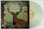Divination (Limited Edition) - Vinile LP di In Hearts Wake