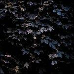 Vivid Flu - Vinile LP di Michael Vallera